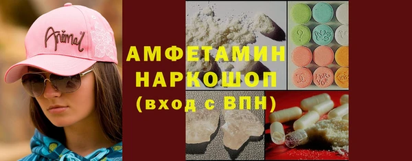 стаф Няндома