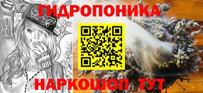 ECSTASY Кингисепп