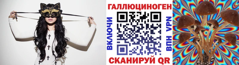 Галлюциногенные грибы Psilocybine cubensis Протвино