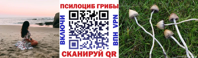 Псилоцибиновые грибы прущие грибы  Протвино 