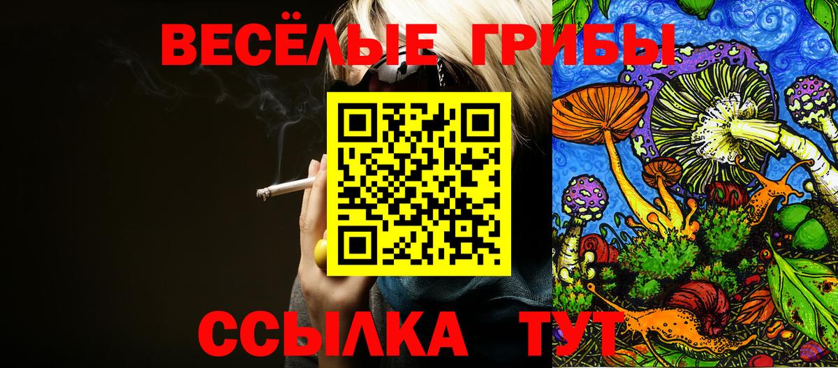 Галлюциногенные грибы Psilocybe Протвино