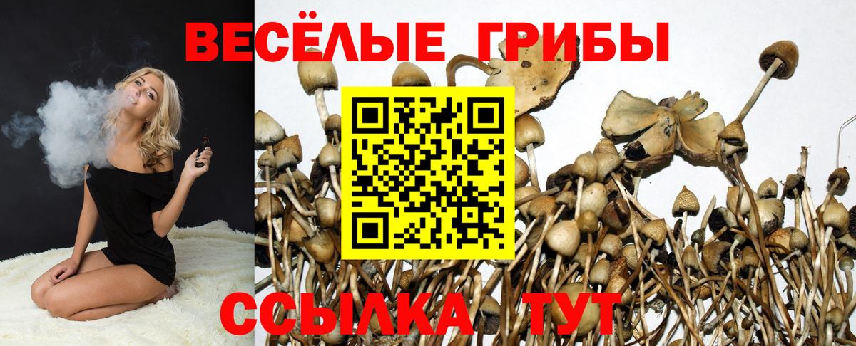 Протвино  Галлюциногенные грибы Psilocybine cubensis  Вход с VPN 